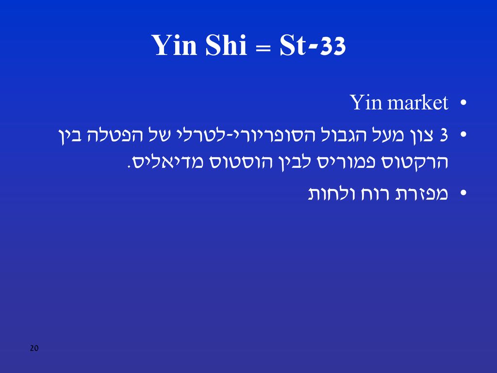 St-33 = Yin Shi Yin market. 3 צון מעל הגבול הסופריורי-לטרלי של הפטלה בין הרקטוס פמוריס לבין הוסטוס מדיאליס.