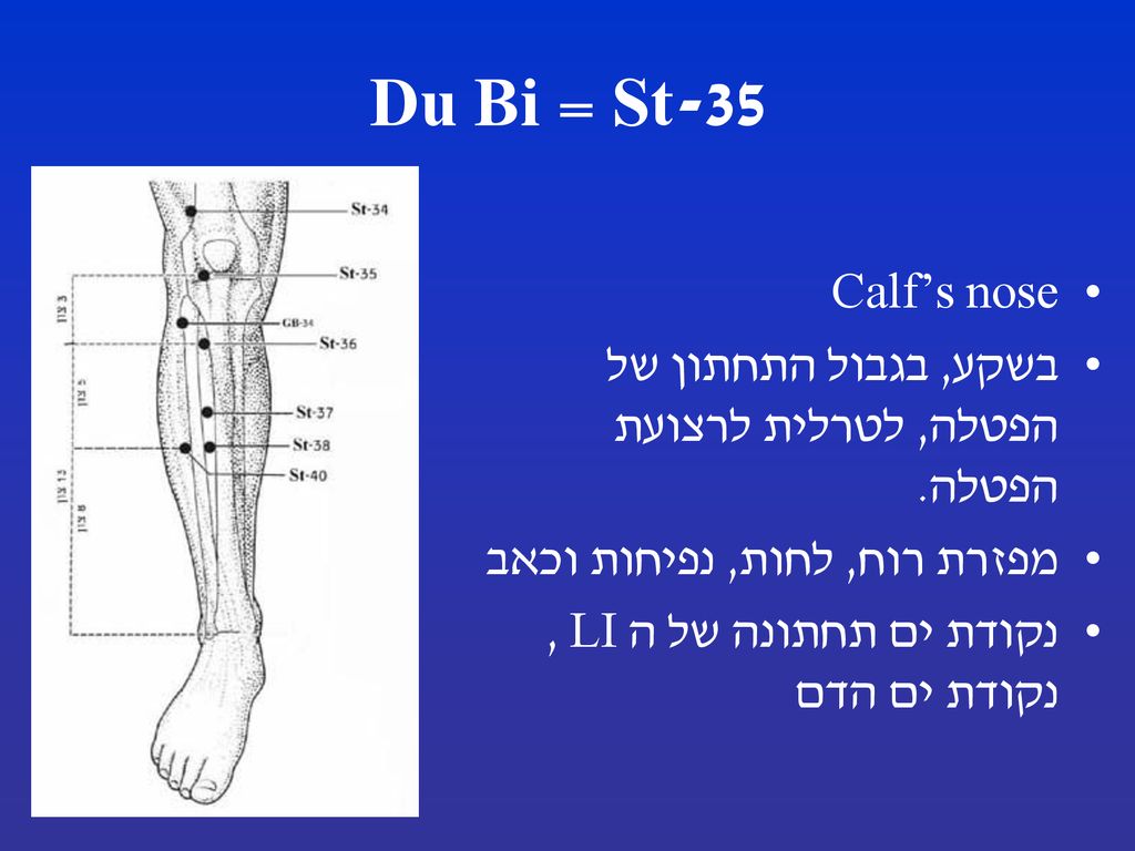 St-35 = Du Bi Calf’s nose. בשקע, בגבול התחתון של הפטלה, לטרלית לרצועת הפטלה. מפזרת רוח, לחות, נפיחות וכאב.