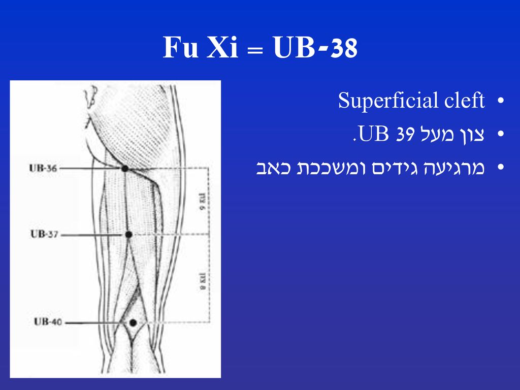 UB-38 = Fu Xi Superficial cleft צון מעל UB 39. מרגיעה גידים ומשככת כאב
