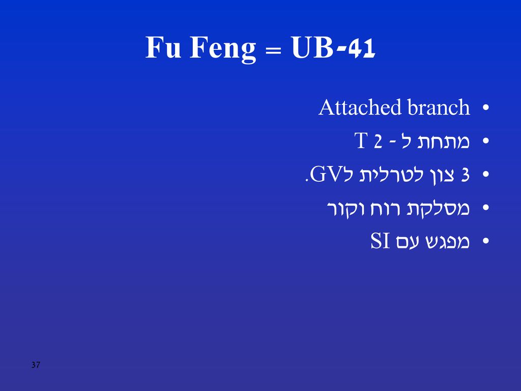 UB-41 = Fu Feng Attached branch מתחת ל - T 2 3 צון לטרלית לGV.