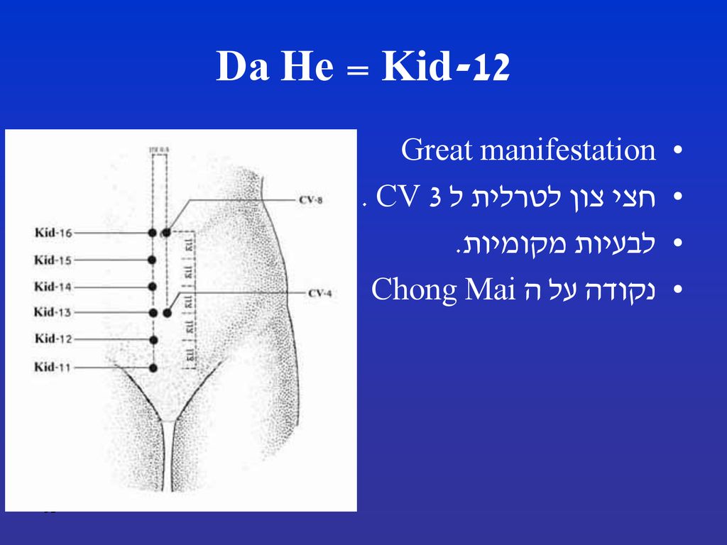 Kid-12 = Da He Great manifestation חצי צון לטרלית ל CV 3 .