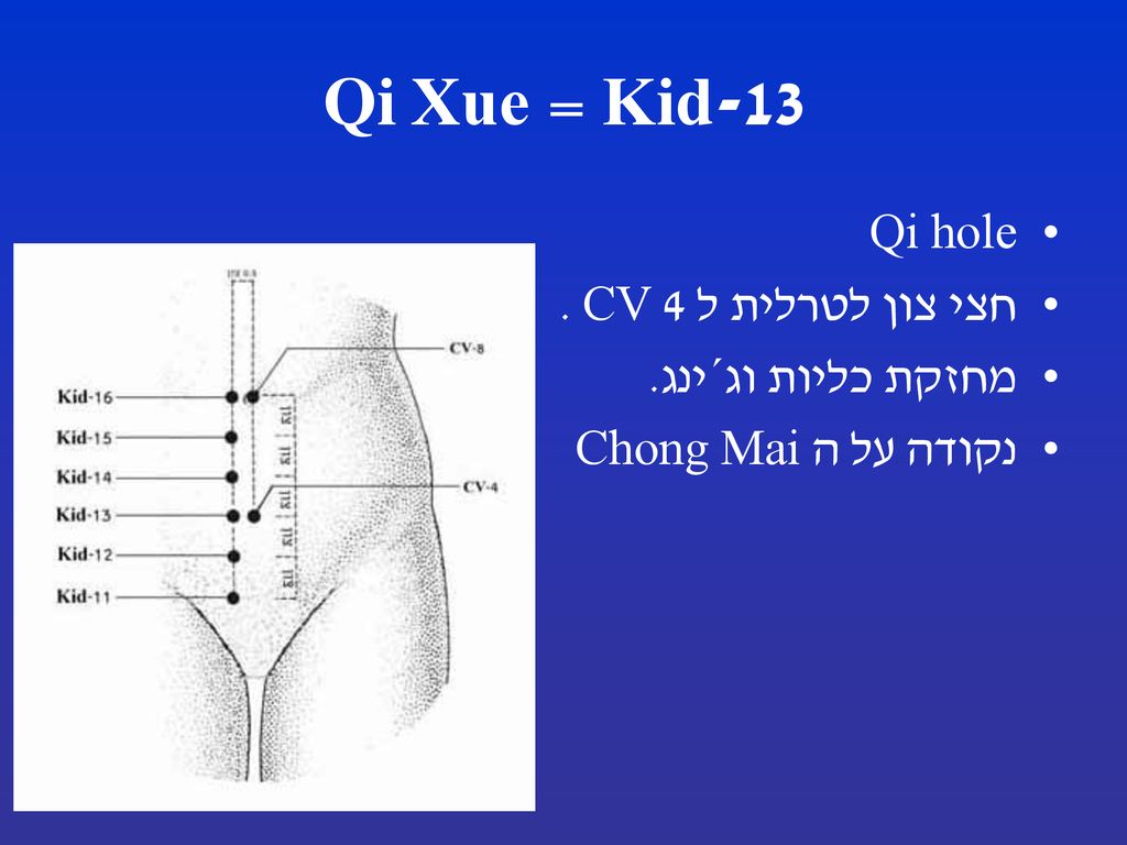 Kid-13 = Qi Xue Qi hole חצי צון לטרלית ל CV 4 . מחזקת כליות וג´ינג.