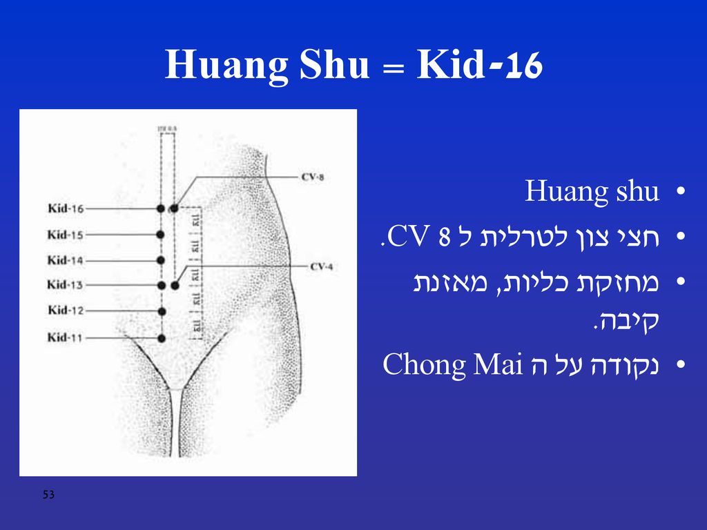 Kid-16 = Huang Shu Huang shu חצי צון לטרלית ל CV 8.
