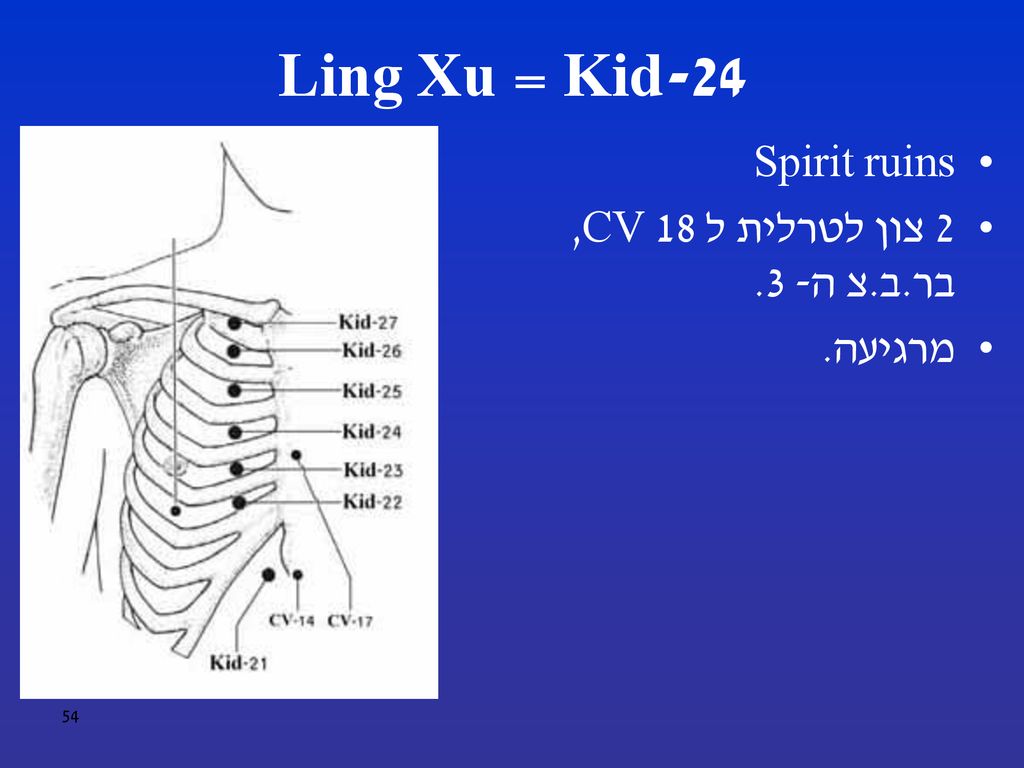 Kid-24 = Ling Xu Spirit ruins 2 צון לטרלית ל CV 18, בר.ב.צ ה- 3.