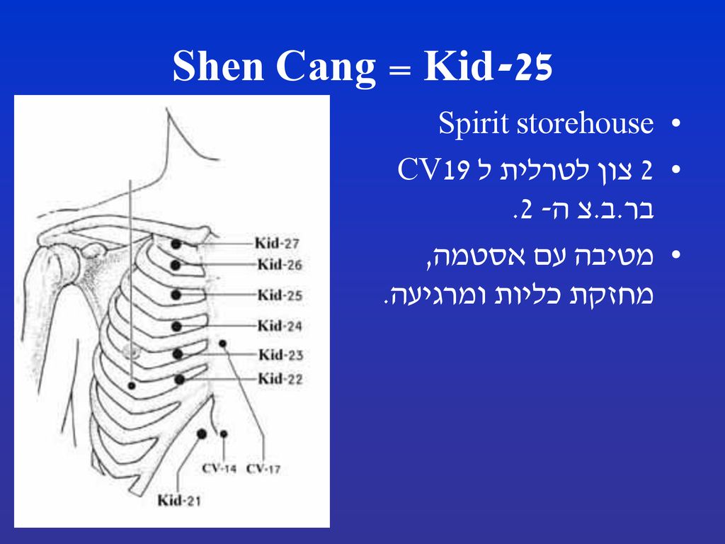 Kid-25 = Shen Cang Spirit storehouse 2 צון לטרלית ל CV19 בר.ב.צ ה- 2.