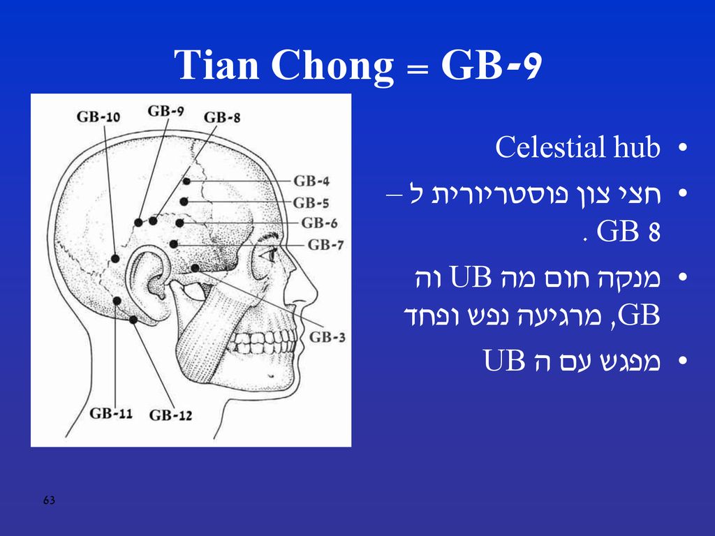 GB-9 = Tian Chong Celestial hub חצי צון פוסטריורית ל – GB 8 .