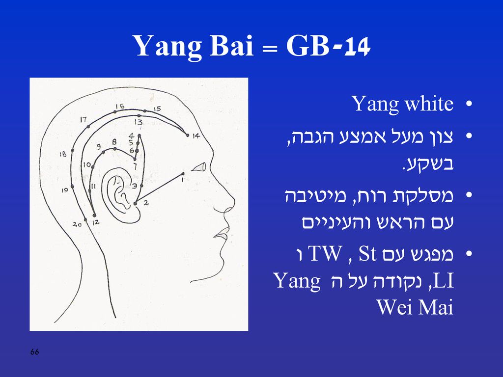 GB-14 = Yang Bai Yang white צון מעל אמצע הגבה, בשקע.