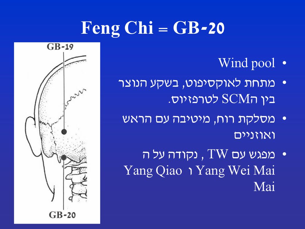 GB-20 = Feng Chi Wind pool. מתחת לאוקסיפוט, בשקע הנוצר בין הSCM לטרפזיוס. מסלקת רוח, מיטיבה עם הראש ואוזניים.