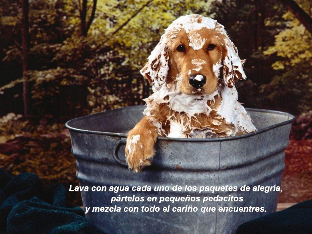 Lava con agua cada uno de los paquetes de alegría,