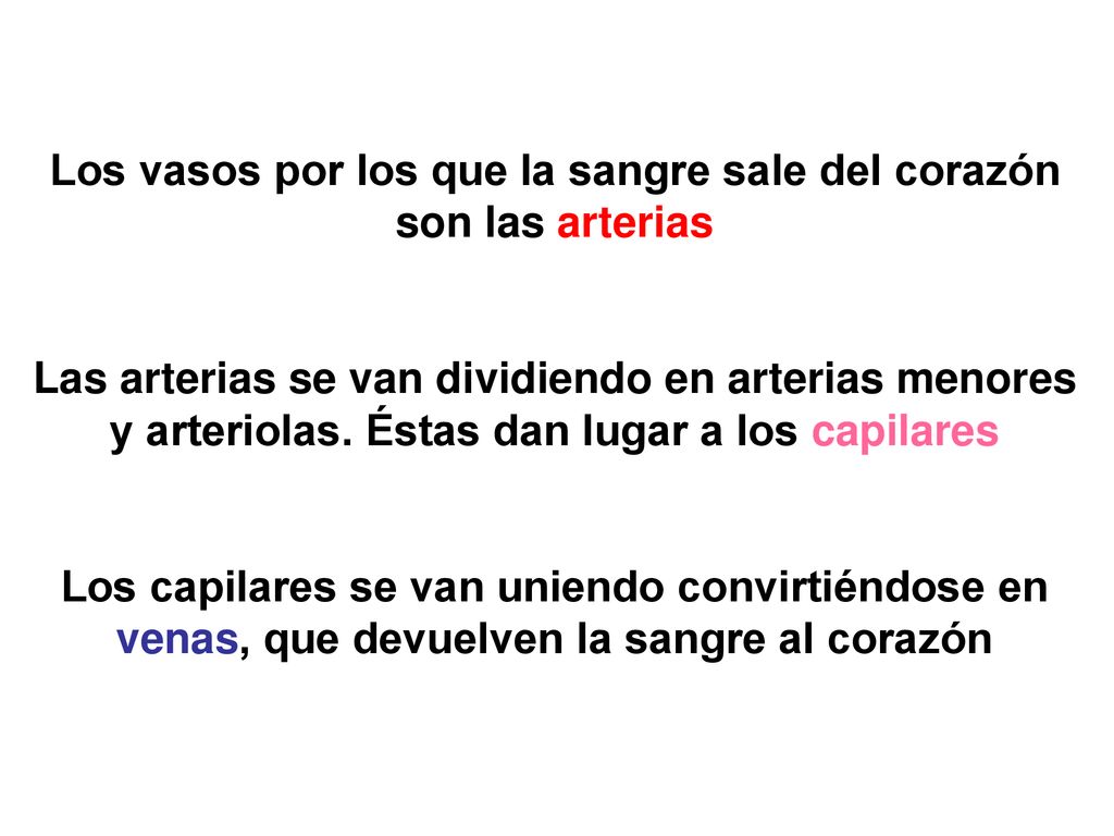 Los vasos por los que la sangre sale del corazón son las arterias