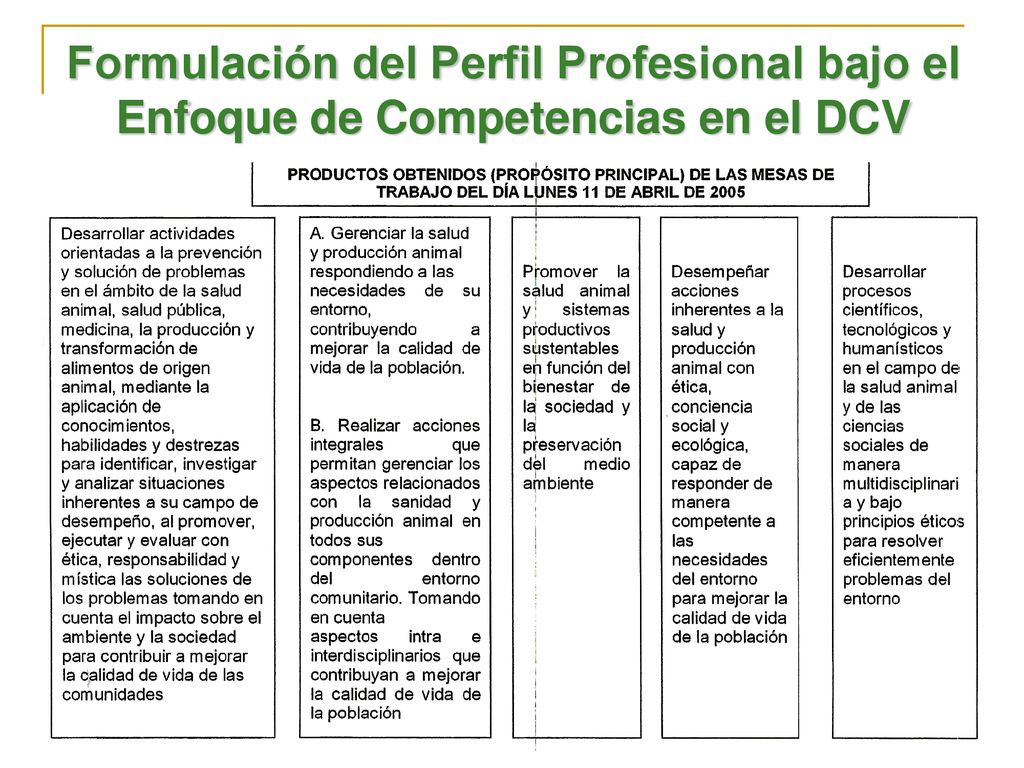 Formulación del Perfil Profesional bajo el Enfoque de Competencias en el DCV