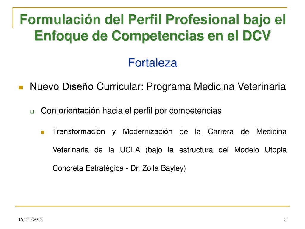 Formulación del Perfil Profesional bajo el Enfoque de Competencias en el DCV