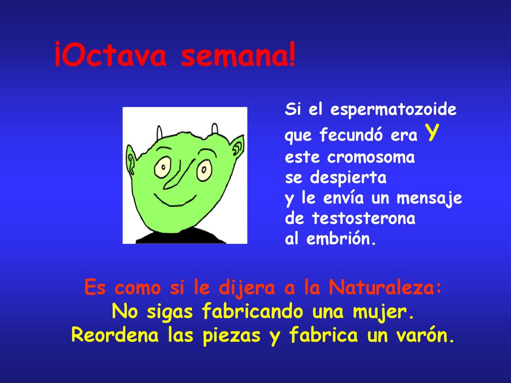 ¡Octava semana! Es como si le dijera a la Naturaleza: