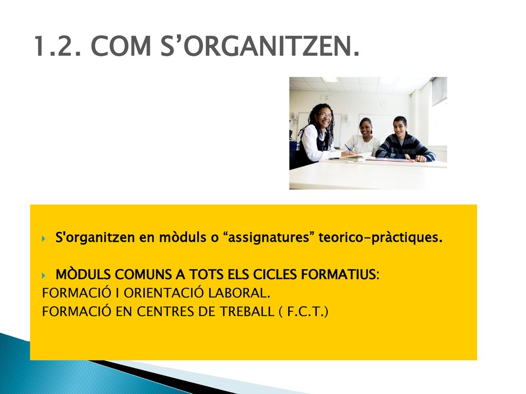 1.2. COM S’ORGANITZEN. S organitzen en mòduls o assignatures teorico-pràctiques. MÒDULS COMUNS A TOTS ELS CICLES FORMATIUS: