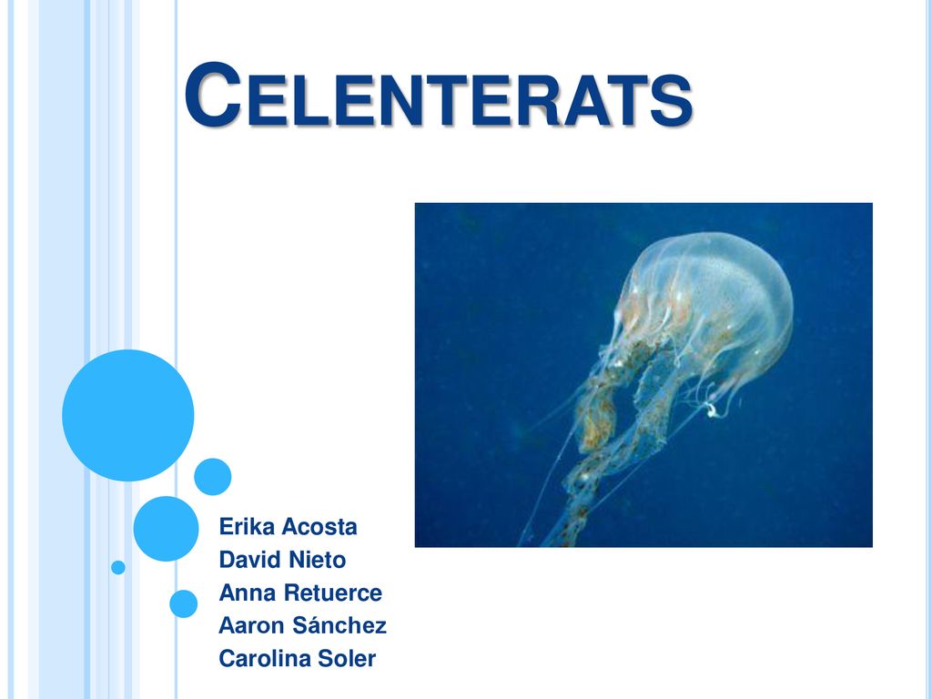 Erika Acosta David Nieto Anna Retuerce Aaron Sánchez Carolina Soler