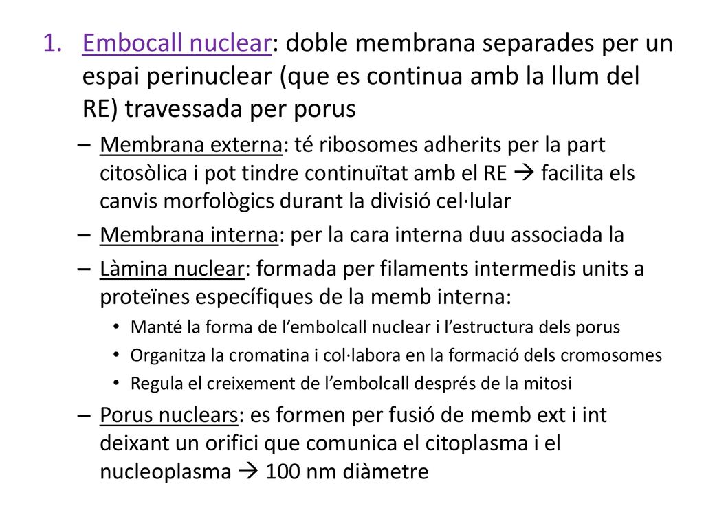 Embocall nuclear: doble membrana separades per un espai perinuclear (que es continua amb la llum del RE) travessada per porus