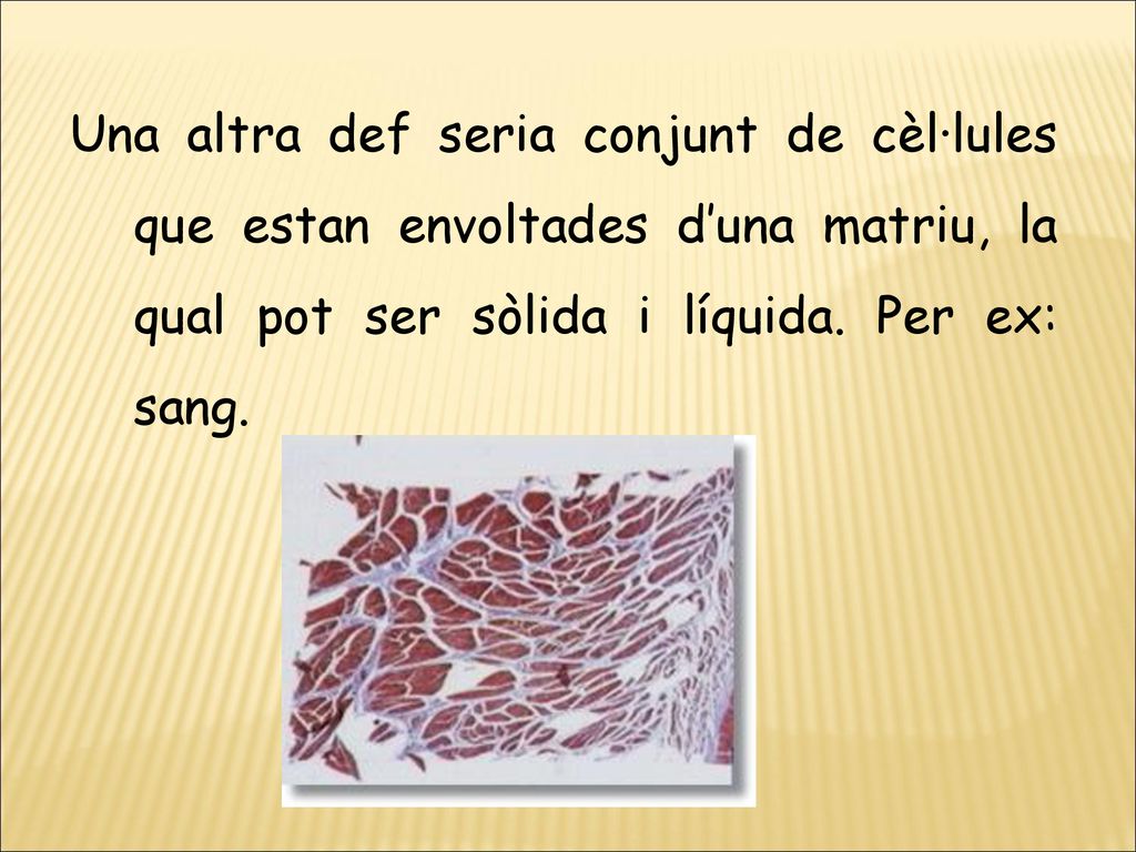 Una altra def seria conjunt de cèl·lules que estan envoltades d’una matriu, la qual pot ser sòlida i líquida.