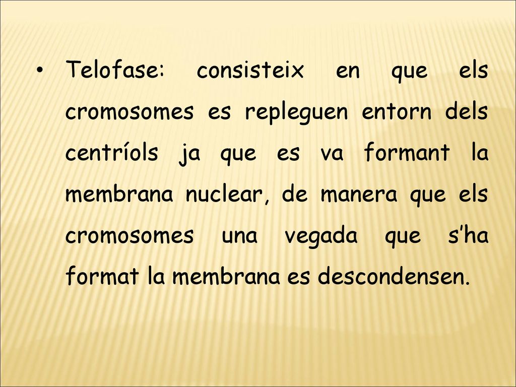 Telofase: consisteix en que els cromosomes es repleguen entorn dels centríols ja que es va formant la membrana nuclear, de manera que els cromosomes una vegada que s’ha format la membrana es descondensen.