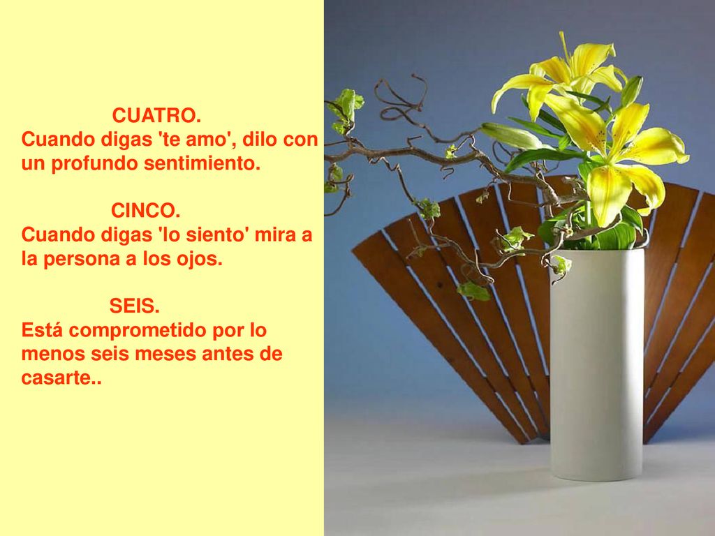 CUATRO. Cuando digas te amo , dilo con un profundo sentimiento. CINCO. Cuando digas lo siento mira a la persona a los ojos.