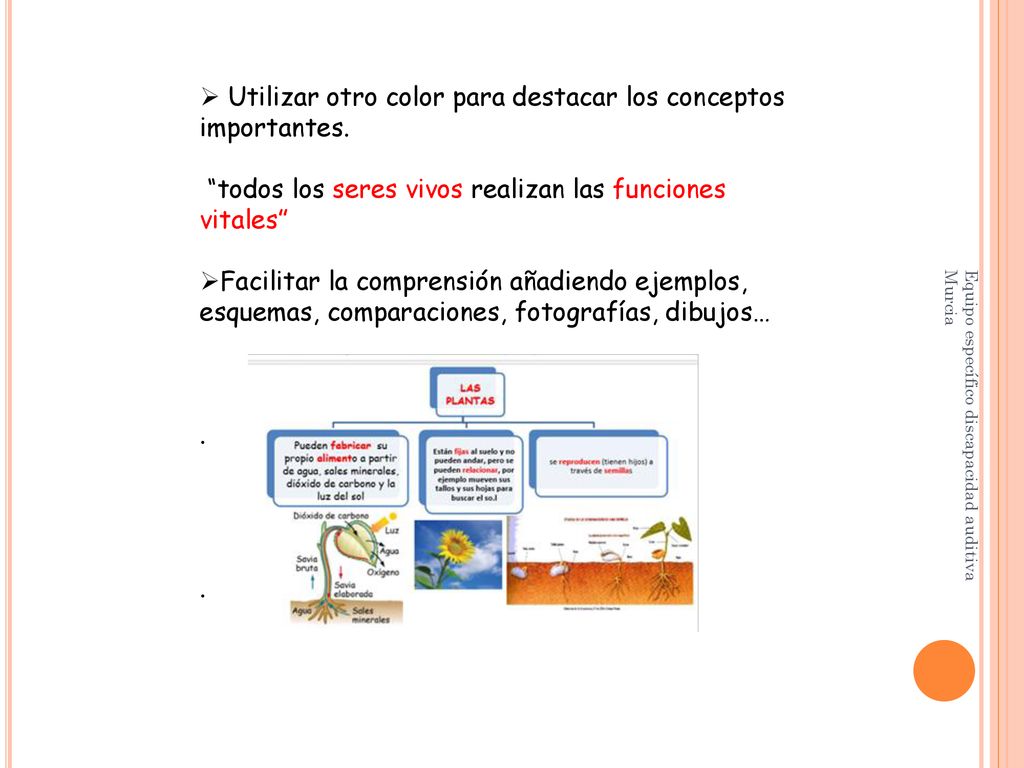 Utilizar otro color para destacar los conceptos importantes.
