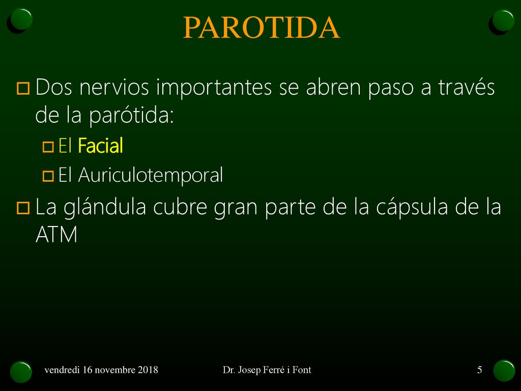 PAROTIDA Dos nervios importantes se abren paso a través de la parótida: El Facial. El Auriculotemporal.