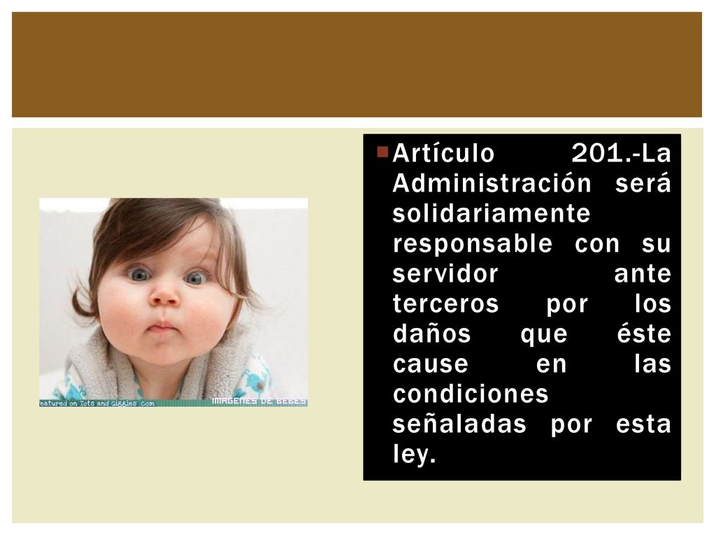 Artículo 201.-La Administración será solidariamente responsable con su servidor ante terceros por los daños que éste cause en las condiciones señaladas por esta ley.