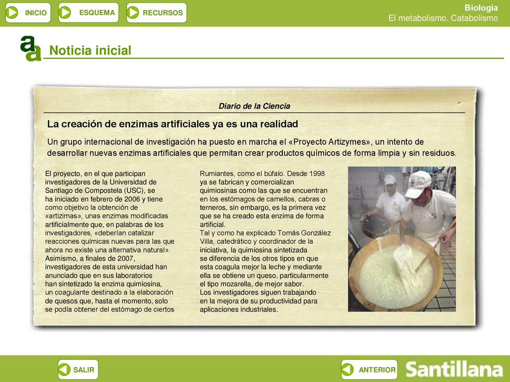 Noticia inicial La creación de enzimas artificiales ya es una realidad