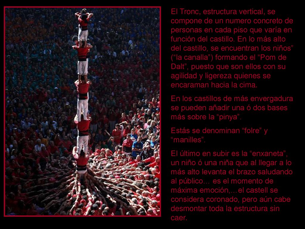 El Tronc, estructura vertical, se compone de un numero concreto de personas en cada piso que varía en función del castillo. En lo más alto del castillo, se encuentran los niños ( la canalla ) formando el Pom de Dalt , puesto que son ellos con su agilidad y ligereza quienes se encaraman hacia la cima.