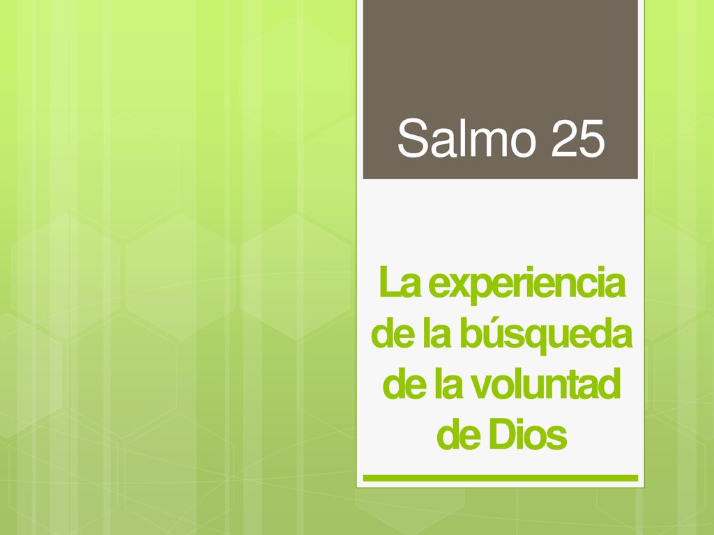 La experiencia de la búsqueda de la voluntad de Dios
