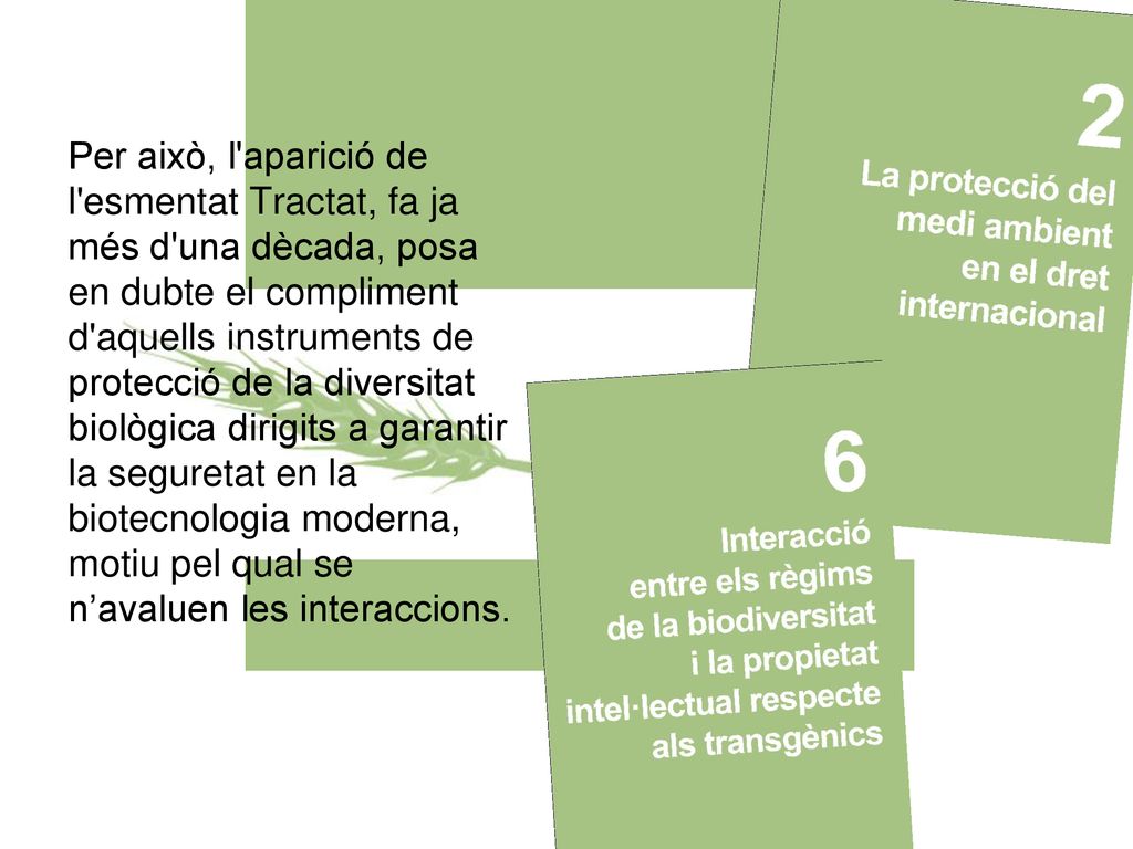 Per això, l aparició de l esmentat Tractat, fa ja més d una dècada, posa en dubte el compliment d aquells instruments de protecció de la diversitat biològica dirigits a garantir la seguretat en la biotecnologia moderna, motiu pel qual se n’avaluen les interaccions.