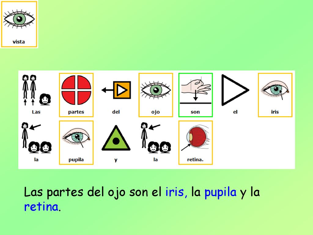 Las partes del ojo son el iris, la pupila y la retina.