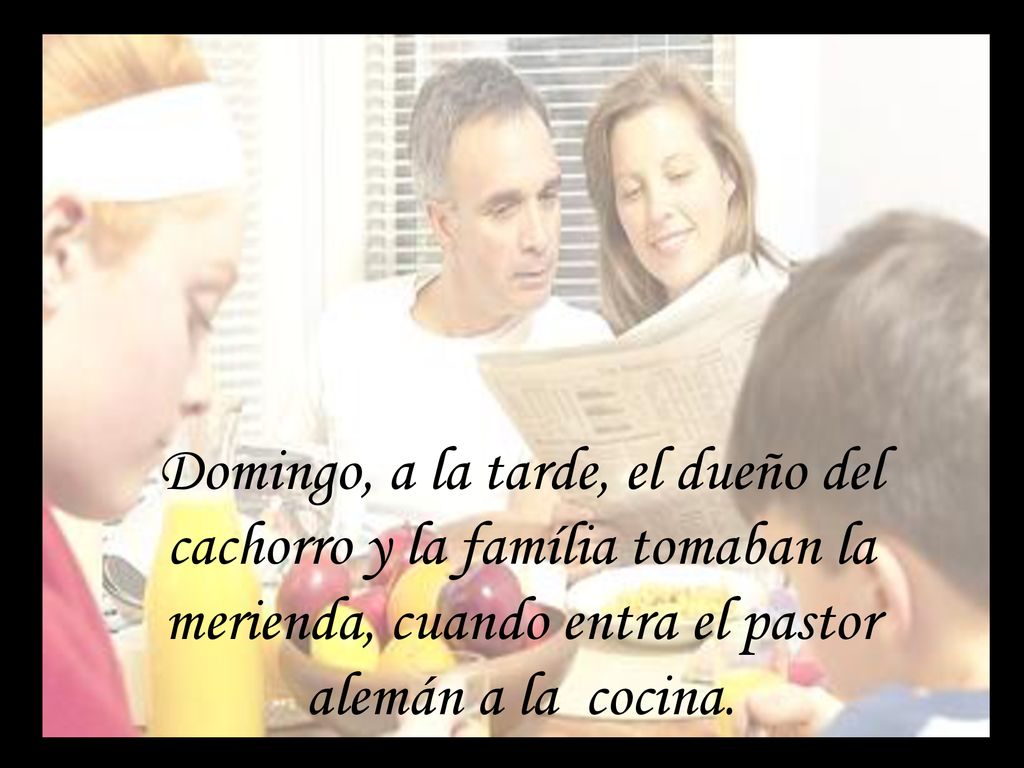 Domingo, a la tarde, el dueño del cachorro y la família tomaban la merienda, cuando entra el pastor alemán a la cocina.
