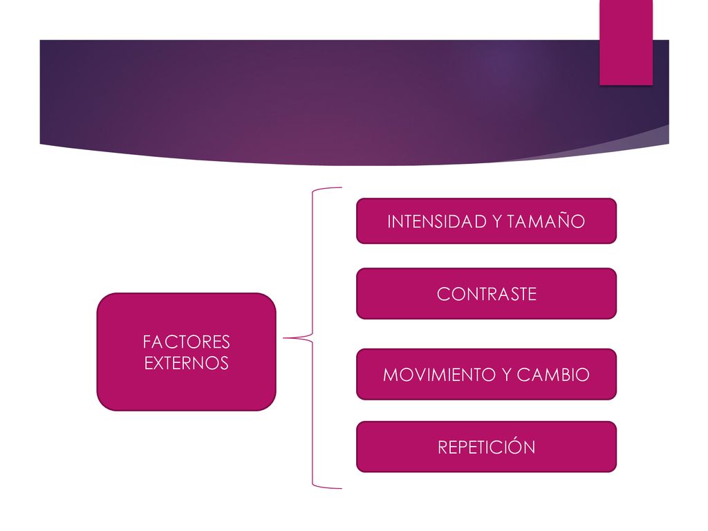 INTENSIDAD Y TAMAÑO CONTRASTE FACTORES EXTERNOS MOVIMIENTO Y CAMBIO REPETICIÓN