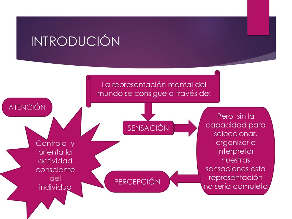 INTRODUCIÓN La representación mental del mundo se consigue a través de: ATENCIÓN. Controla y orienta la actividad consciente del individuo.