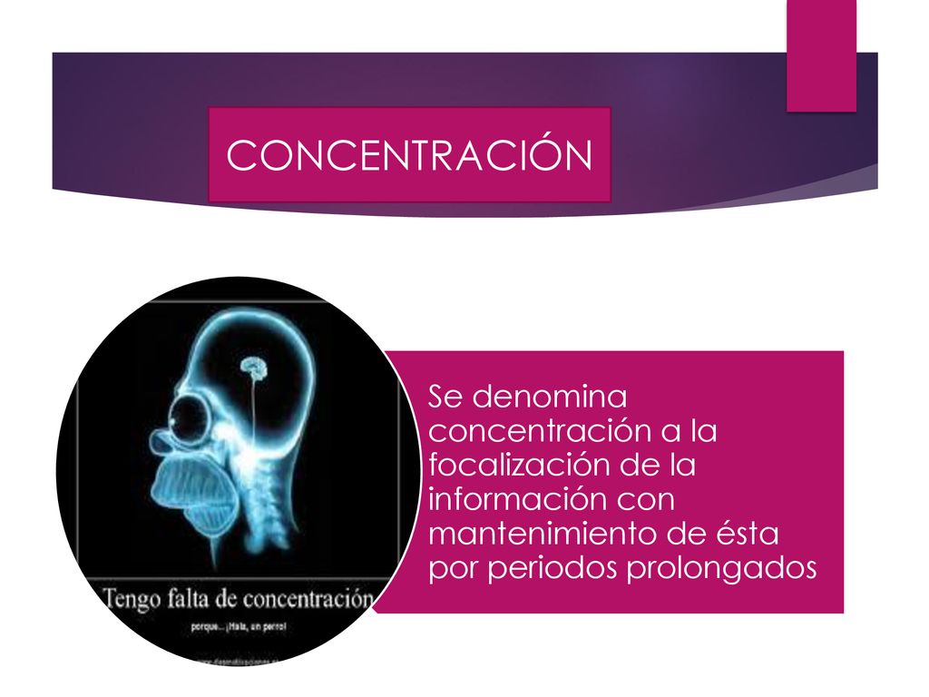 CONCENTRACIÓN Se denomina concentración a la focalización de la información con mantenimiento de ésta por periodos prolongados.