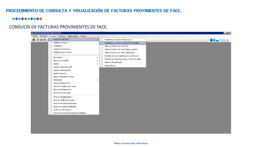 PROCEDIMIENTO DE CONSULTA Y VISUALIZACIÓN DE FACTURAS PROVINIENTES DE FACE.