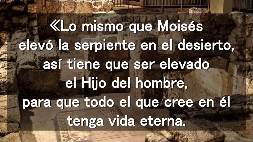 «Lo mismo que Moisés elevó la serpiente en el desierto, así tiene que ser elevado el Hijo del hombre, para que todo el que cree en él tenga vida eterna.