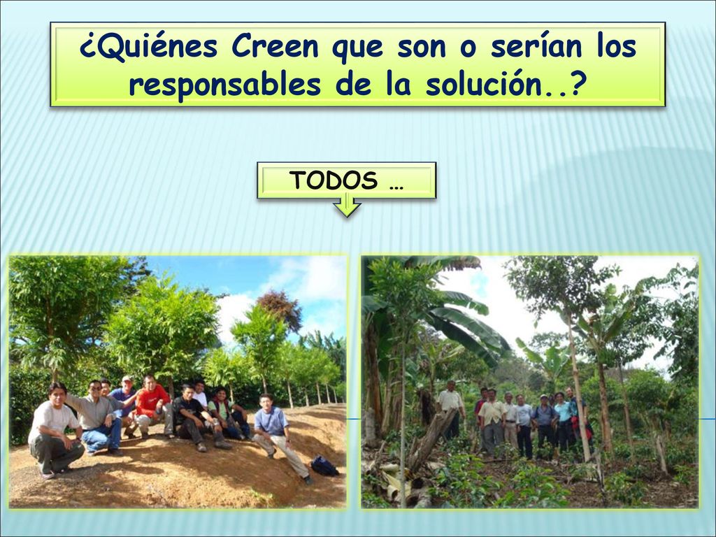 ¿Quiénes Creen que son o serían los responsables de la solución..