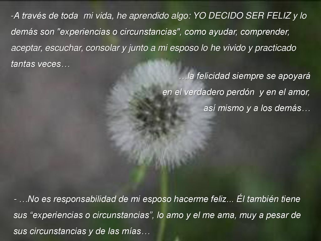 A través de toda mi vida, he aprendido algo: YO DECIDO SER FELIZ y lo demás son experiencias o circunstancias , como ayudar, comprender,