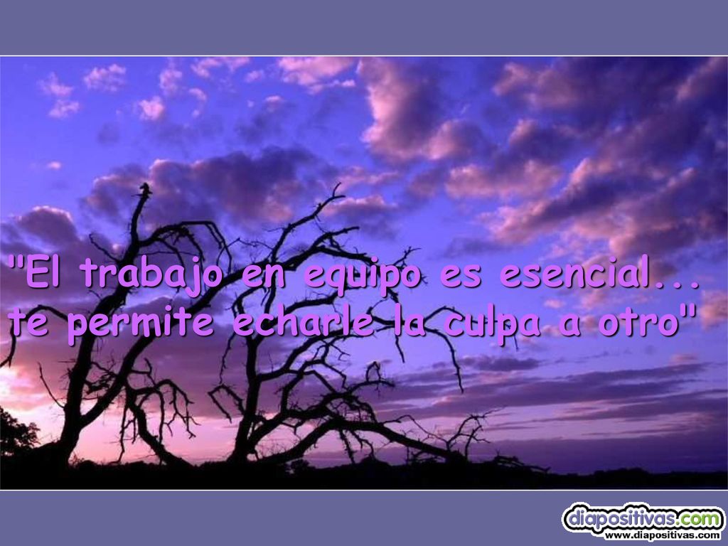 El trabajo en equipo es esencial... te permite echarle la culpa a otro