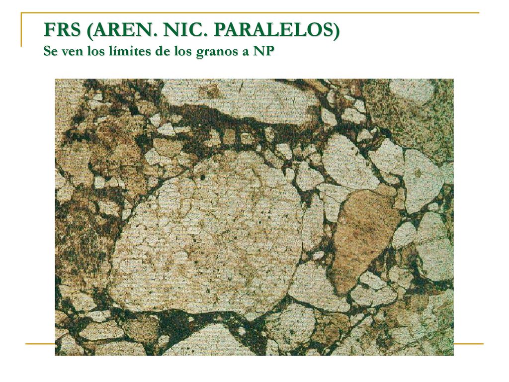 FRS (AREN. NIC. PARALELOS) Se ven los límites de los granos a NP