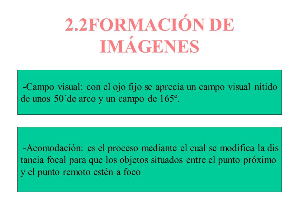 2.2FORMACIÓN DE IMÁGENES -Campo visual: con el ojo fijo se aprecia un campo visual nítido. de unos 50´de arco y un campo de 165º.