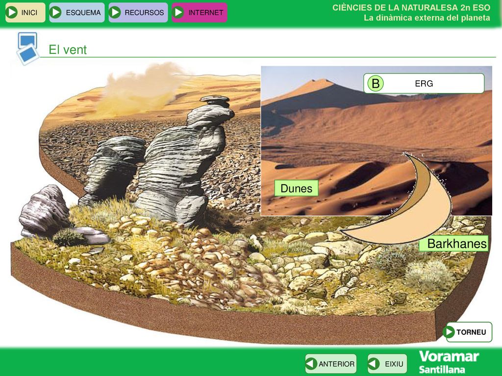 El vent B Dunes Barkhanes ERG INICI ESQUEMA RECURSOS INTERNET TORNEU