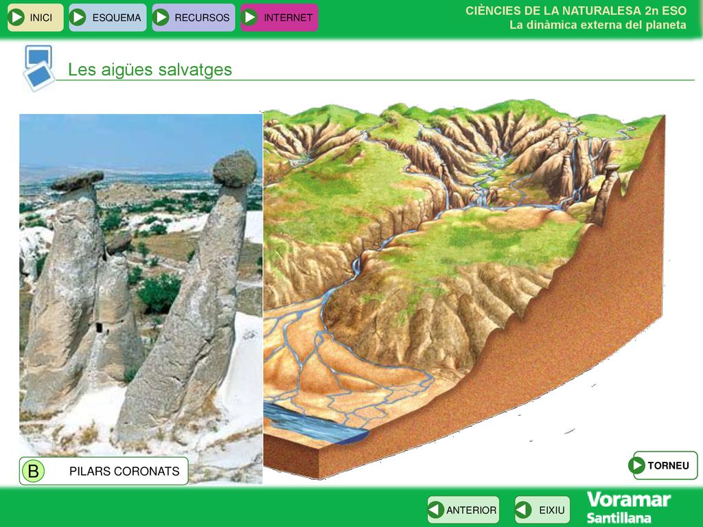 Les aigües salvatges B PILARS CORONATS INICI ESQUEMA RECURSOS INTERNET