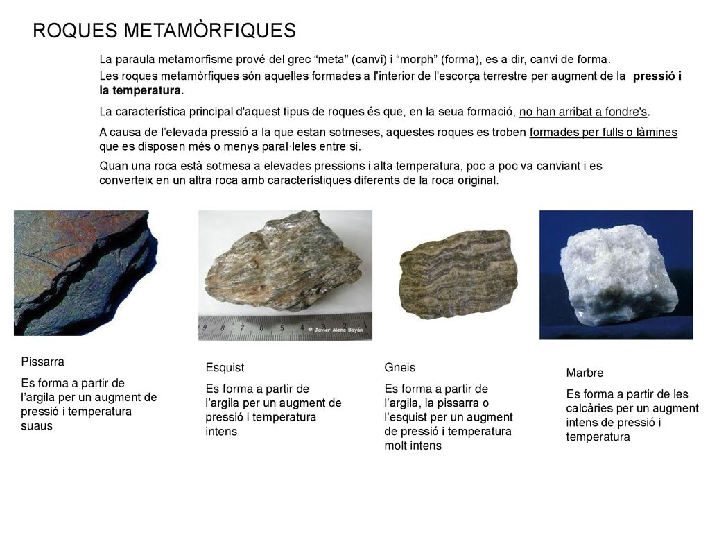 ROQUES METAMÒRFIQUES La paraula metamorfisme prové del grec meta (canvi) i morph (forma), es a dir, canvi de forma.