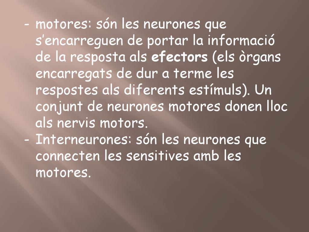 motores: són les neurones que s’encarreguen de portar la informació de la resposta als efectors (els òrgans encarregats de dur a terme les respostes als diferents estímuls). Un conjunt de neurones motores donen lloc als nervis motors.