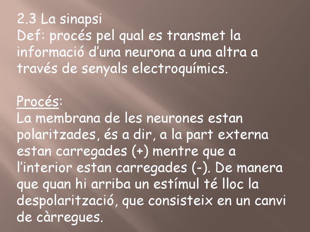 2.3 La sinapsi Def: procés pel qual es transmet la informació d’una neurona a una altra a través de senyals electroquímics.