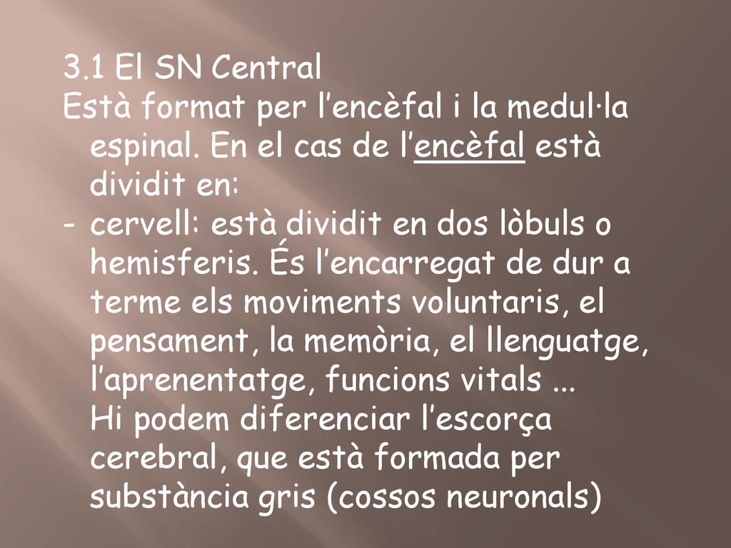 3.1 El SN Central Està format per l’encèfal i la medul·la espinal. En el cas de l’encèfal està dividit en: