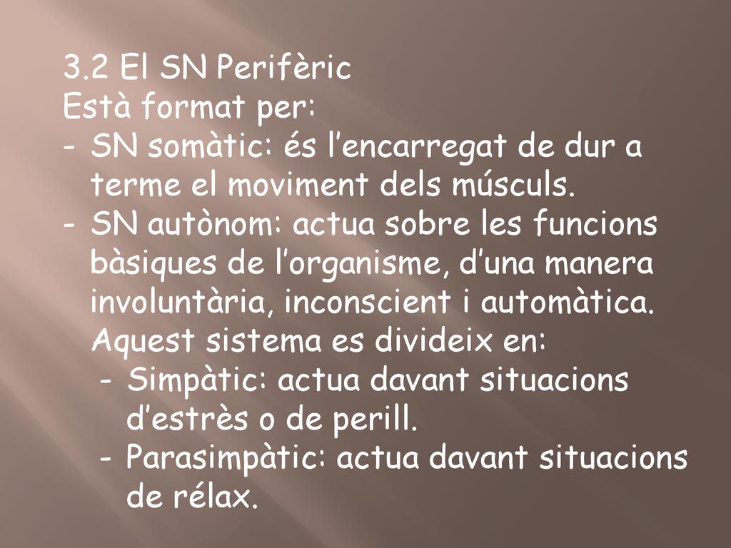 3.2 El SN Perifèric Està format per: SN somàtic: és l’encarregat de dur a terme el moviment dels músculs.