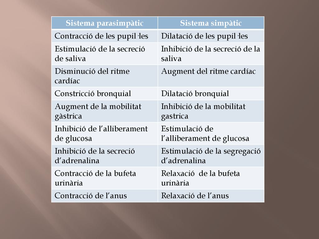 Sistema parasimpàtic Sistema simpàtic. Contracció de les pupil·les. Dilatació de les pupil·les. Estimulació de la secreció de saliva.